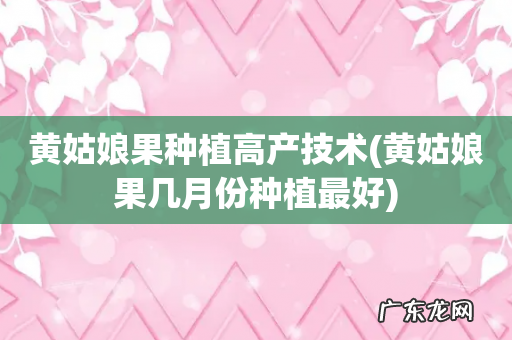 黄姑娘果几月份种植最好 黄姑娘果种植高产技术