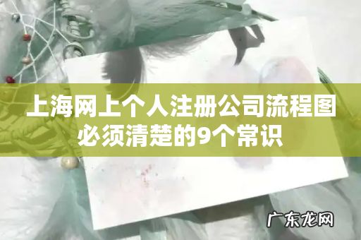 上海网上个人注册公司流程图必须清楚的9个常识
