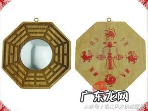 文竹为什么长藤有关风水 风水学东南青竹文上文