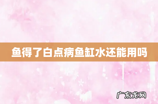 鱼得了白点病鱼缸水还能用吗