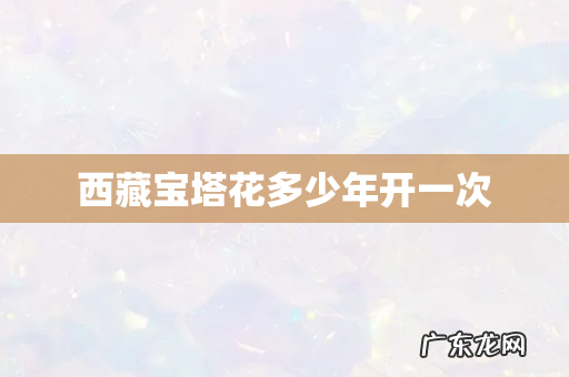 西藏宝塔花多少年开一次