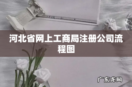 河北省网上工商局注册公司流程图