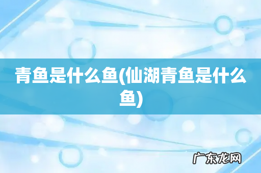 仙湖青鱼是什么鱼 青鱼是什么鱼