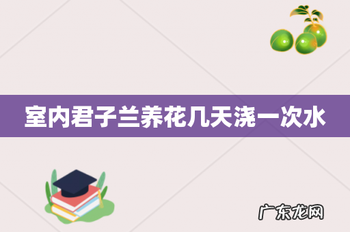 室内君子兰养花几天浇一次水