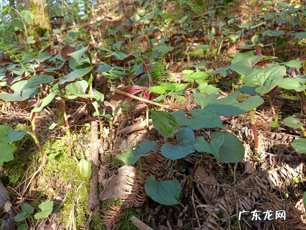 跟水电工有关的字起名 风水师外号