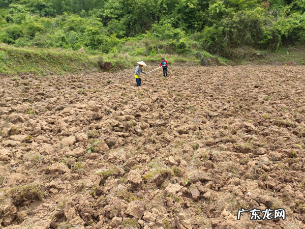 跟水电工有关的字起名 风水师外号
