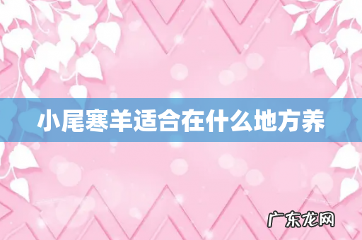 小尾寒羊适合在什么地方养