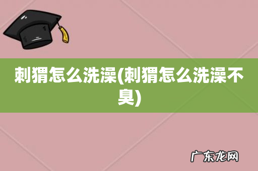 刺猬怎么洗澡不臭 刺猬怎么洗澡
