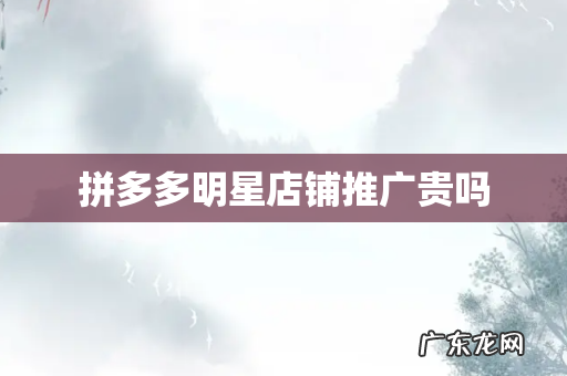 拼多多明星店铺推广贵吗