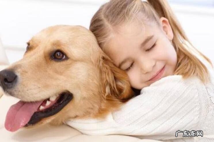 狗死了会投胎转世到主人家吗 家里主人怀孕了狗狗死了好不好?