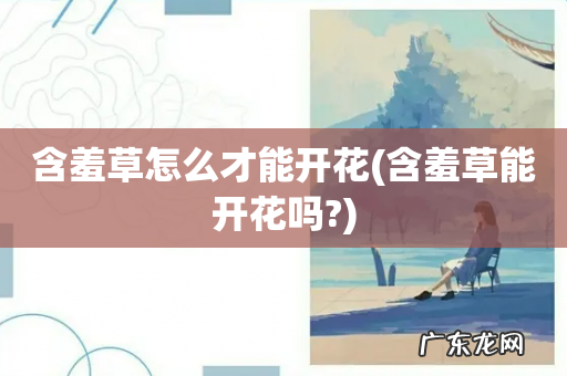 含羞草能开花吗? 含羞草怎么才能开花