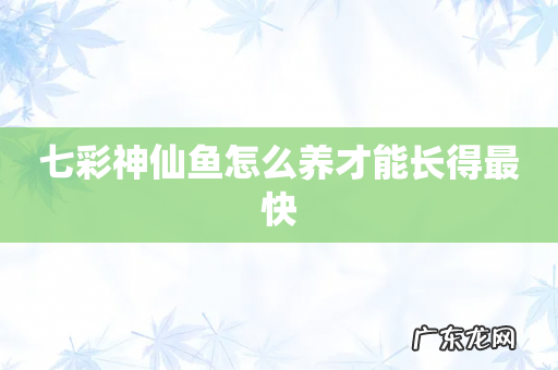 七彩神仙鱼怎么养才能长得最快