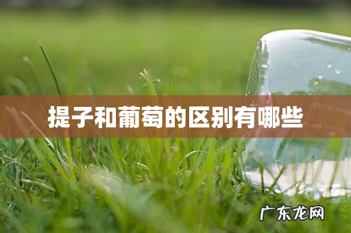 提子和葡萄的区别有哪些