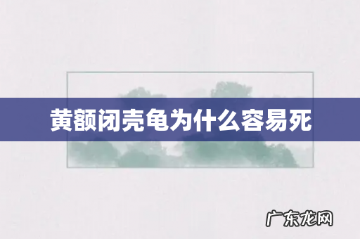 黄额闭壳龟为什么容易死