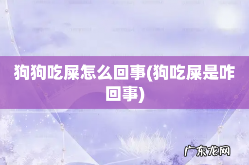 狗吃屎是咋回事 狗狗吃屎怎么回事