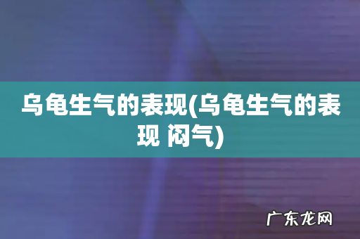 乌龟生气的表现 闷气 乌龟生气的表现