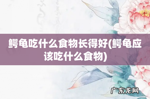 鳄龟应该吃什么食物 鳄龟吃什么食物长得好