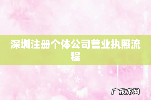 深圳注册个体公司营业执照流程