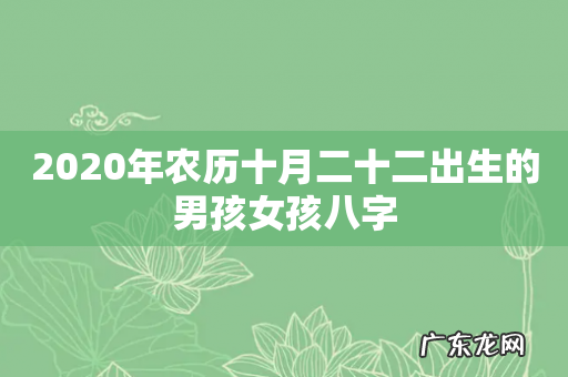 2020年农历十月二十二出生的男孩女孩八字