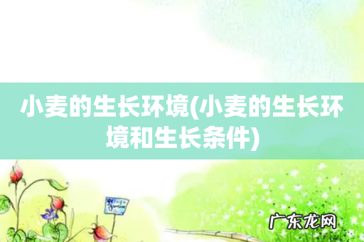 小麦的生长环境和生长条件 小麦的生长环境