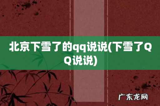 下雪了QQ说说 北京下雪了的qq说说