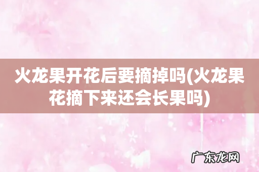 火龙果花摘下来还会长果吗 火龙果开花后要摘掉吗
