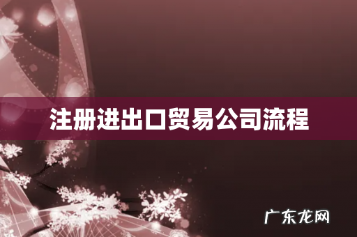 注册进出口贸易公司流程