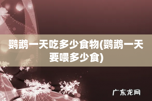 鹦鹉一天要喂多少食 鹦鹉一天吃多少食物