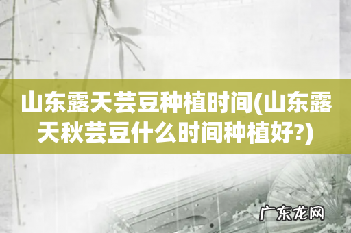 山东露天秋芸豆什么时间种植好? 山东露天芸豆种植时间