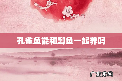 孔雀鱼能和鲫鱼一起养吗