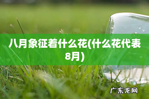 什么花代表8月 八月象征着什么花