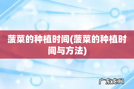 菠菜的种植时间与方法 菠菜的种植时间