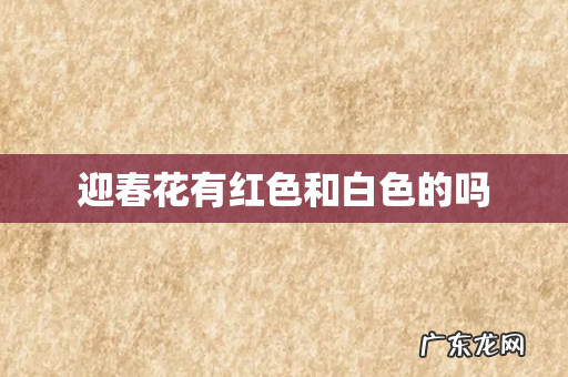 迎春花有红色和白色的吗