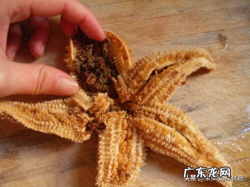干海星怎么吃 干海星要如何煲汤 干海星怎么做好吃