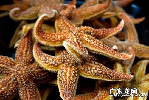 干海星怎么吃 干海星要如何煲汤 干海星怎么做好吃