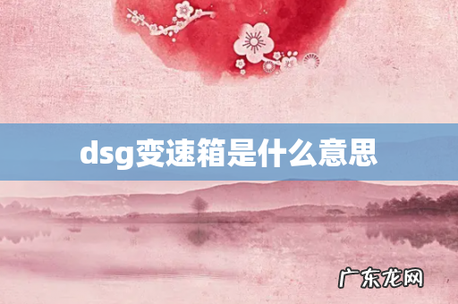 dsg变速箱是什么意思