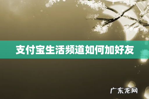 支付宝生活频道如何加好友