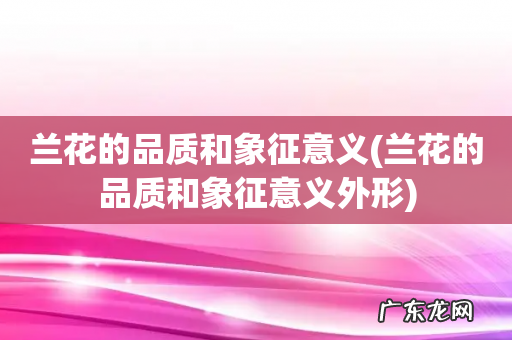 兰花的品质和象征意义外形 兰花的品质和象征意义