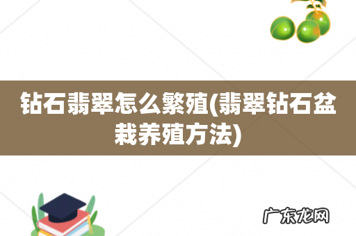 翡翠钻石盆栽养殖方法 钻石翡翠怎么繁殖