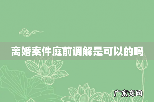 离婚案件庭前调解是可以的吗