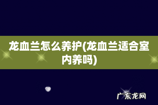 龙血兰适合室内养吗 龙血兰怎么养护