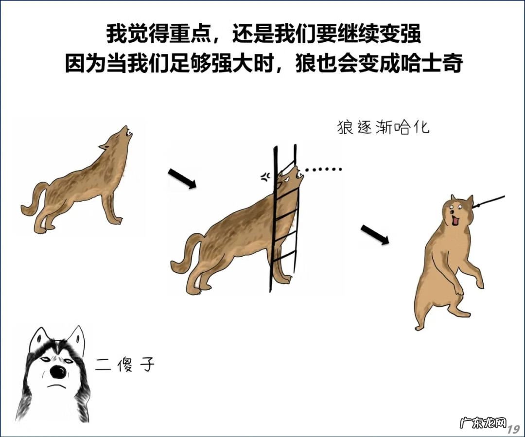 真流氓 流氓来了