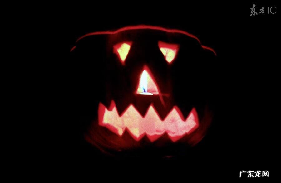 古墓探险作文 古墓探险小说