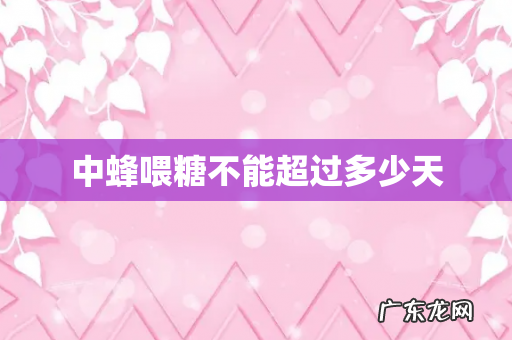 中蜂喂糖不能超过多少天