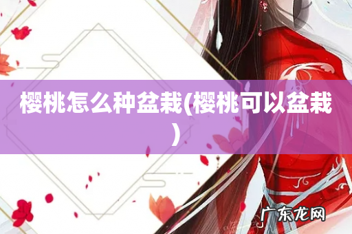 樱桃可以盆栽 樱桃怎么种盆栽