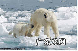 什么人不怕冷 暖暖 什么人最怕冷?