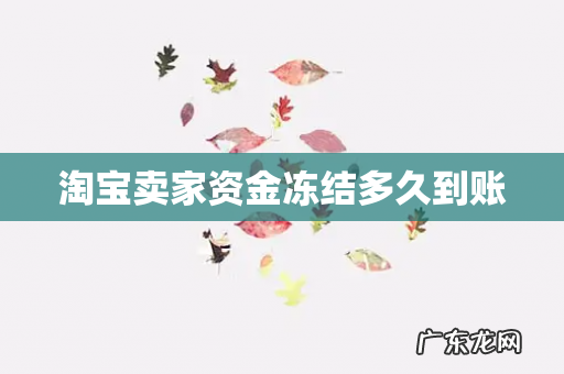 淘宝卖家资金冻结多久到账