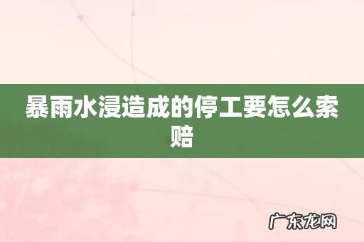 暴雨水浸造成的停工要怎么索赔