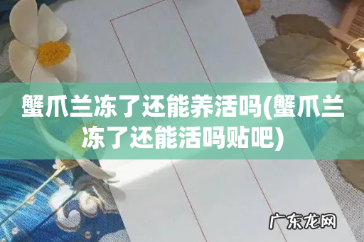 蟹爪兰冻了还能活吗贴吧 蟹爪兰冻了还能养活吗