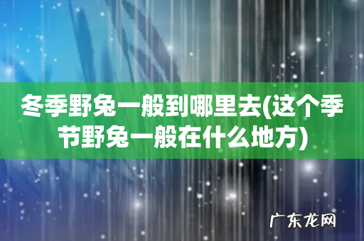 这个季节野兔一般在什么地方 冬季野兔一般到哪里去